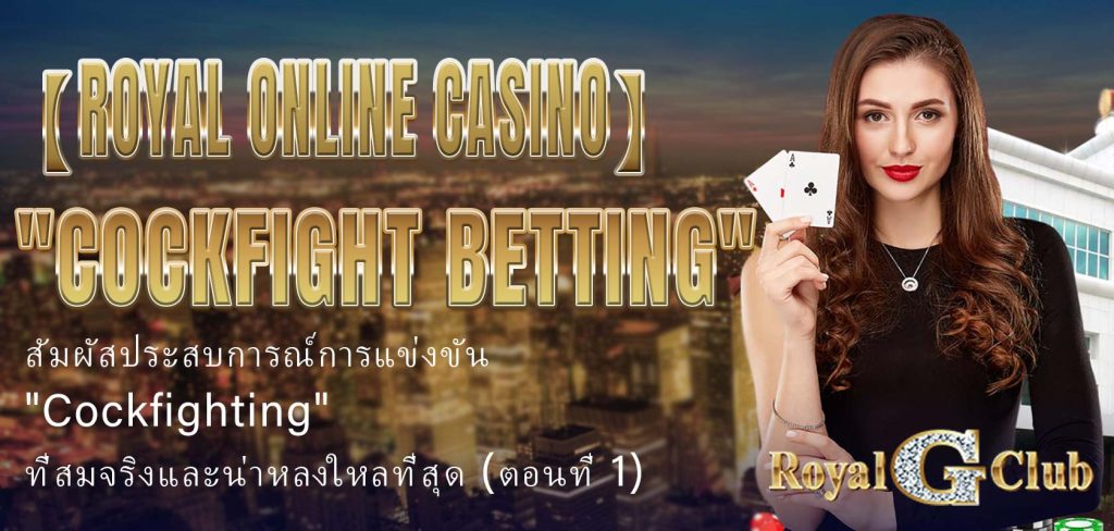 【Royal Online Casino】 “Cockfight Betting”: Experience the Most Realistic and Exciting “Cockfighting” Competition (Part 1)