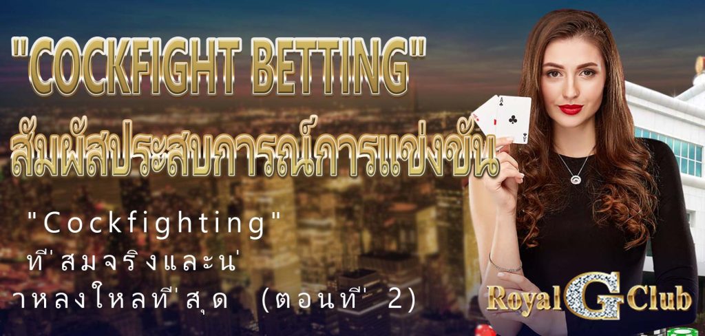 【Royal Online Casino】 "Cockfight Betting": สัมผัสประสบการณ์การแข่งขัน "Cockfighting" ที่สมจริงและน่าหลงใหลที่สุด (ตอนที่ 2)