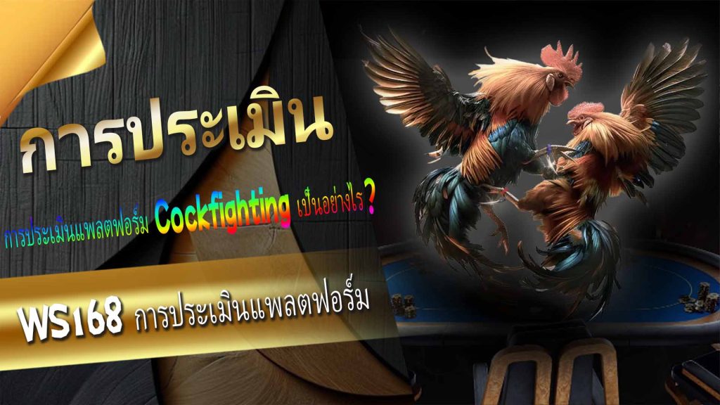 คุณกำลังมองหาแพลตฟอร์ม Cockfighting ออนไลน์ที่น่าตื่นเต้นอยู่หรือเปล่า? ถ้าอย่างนั้นการชนไก่ WS168 ของ Royal Online Casino ก็เป็นตัวเลือกในฝันของคุณ! แพลตฟอร์มการเดิมพันไก่ชนจากฟิลิปปินส์นี้ได้รับความนิยมอย่างมากในเอเชียตะวันออกเฉียงใต้ และมีการถ่ายทอดสดการแข่งขันที่ทำให้หัวใจเต้นตึกตัก อยากรู้ไหมว่าทำไมผู้เล่นนับพันถึงเลือก WS168 Cockfighting เป็นตัวเลือกแรก? มาร่วมสัมผัสเสน่ห์อันเป็นเอกลักษณ์ของ WS168 กันเถอะ!